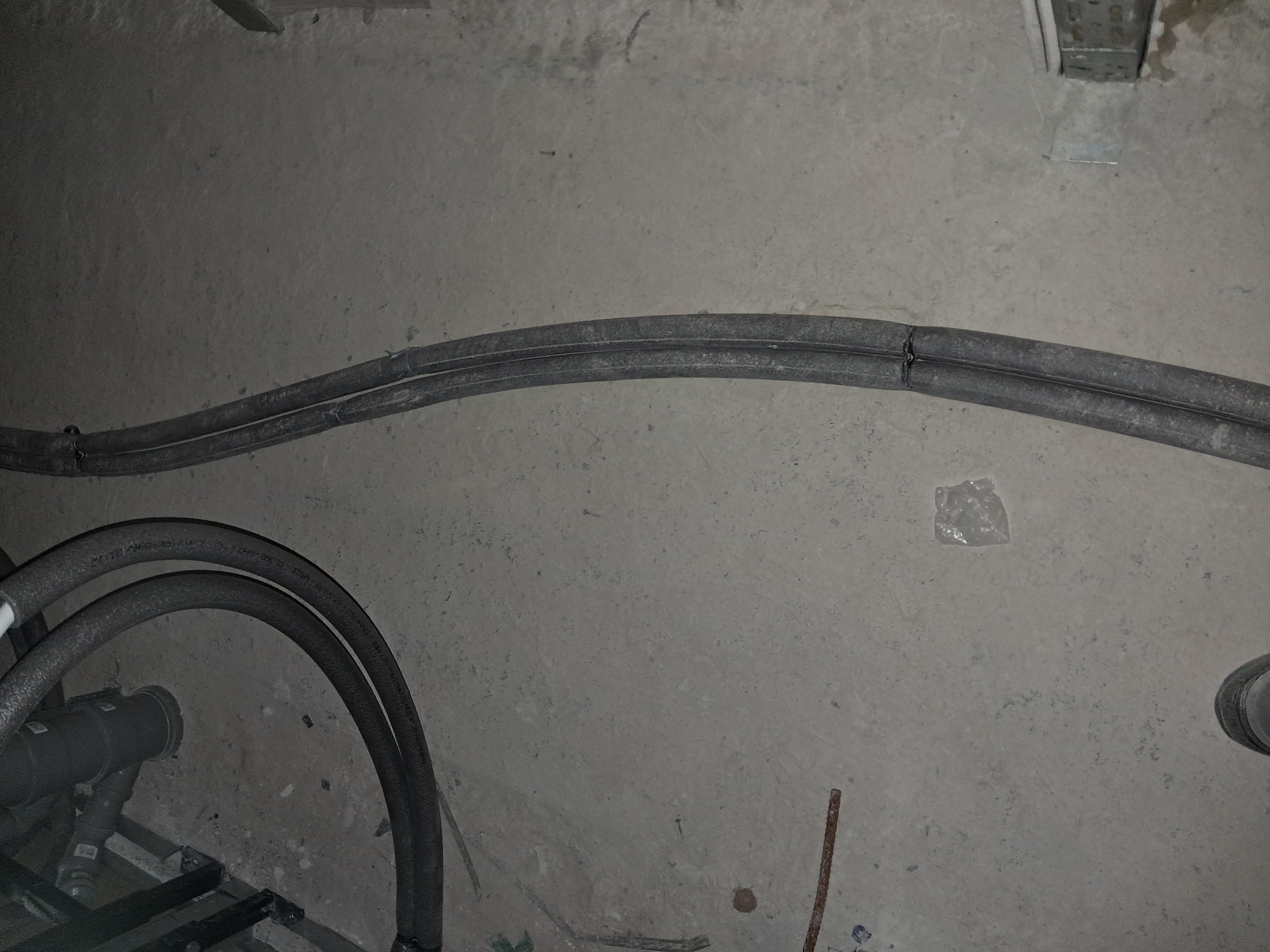 20260731_104500.jpg